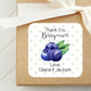 Blueberry Theme First Birthday PRINTED 2" Square or Round Party Favor LABELS | Blueberry Baby Shower Theme | Fruit Themed Birthday [4140]